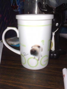 06��������ʱ��һ�ݹ�������һ���¹�����ı��ӣ��Ǻ� �Ѿ�����������4�ҹ�˾�ˡ���ս���˹���