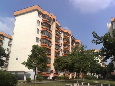 ס�������С��