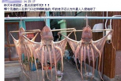������ǰ���ڹ�˾���Ĺ�ٶ����ɿ����ģ��о��ܸ㣬�ͱ��������ˣ�