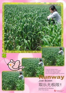 ��Ұ�