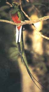 ��β��ҧ�� Σ����������[ҧ��Ŀ ҧ���.jpg