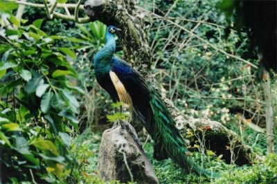 ��ȸ ������ �������̿�ȸ������Ŀ ����.jpg