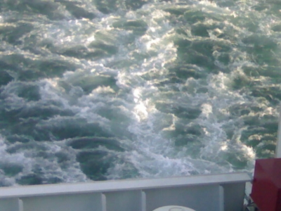 20100816064.jpg