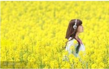 QQ��ͼ20130112090320.jpg