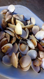 ����С����