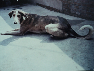 ���� (3).jpg