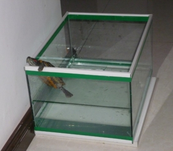 С�ڹ�.jpg